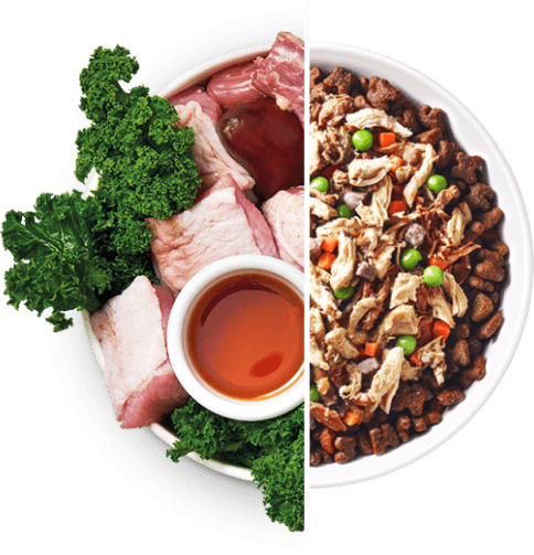 Alimentação Natural