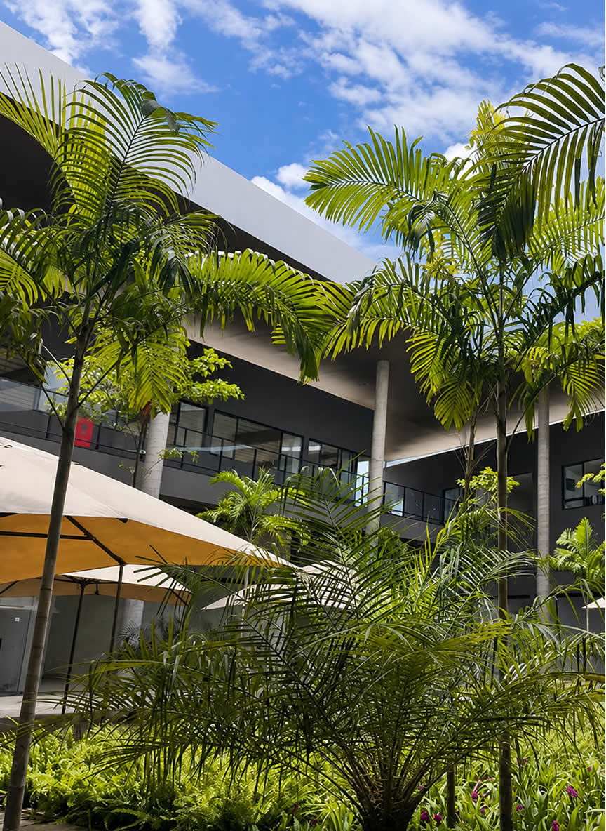 Estrutura do Tree Park Mall